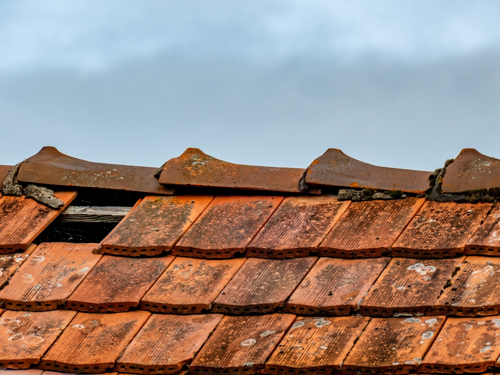 Leaky Roof