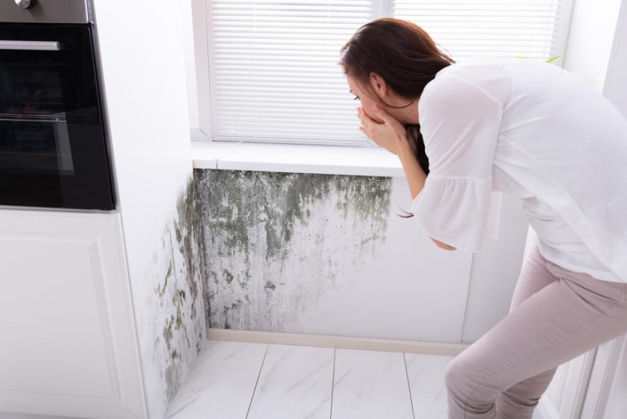 The Importance of Proper Ventilation in the Home and How to Achieve It, Even in Winter