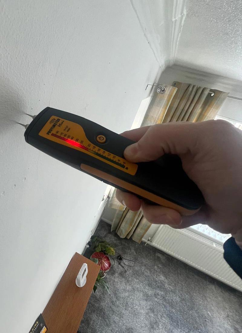 Choosing a Reliable Damp Surveyor in Merseyside