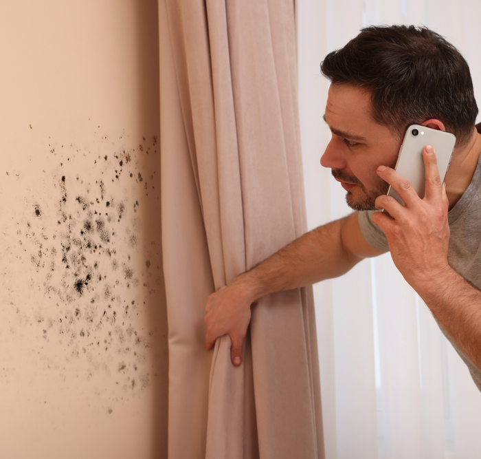 Black Mould Is Often the Final Warning Sign