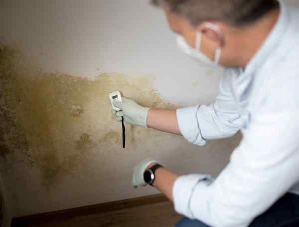 Not All Damp Is Condensation