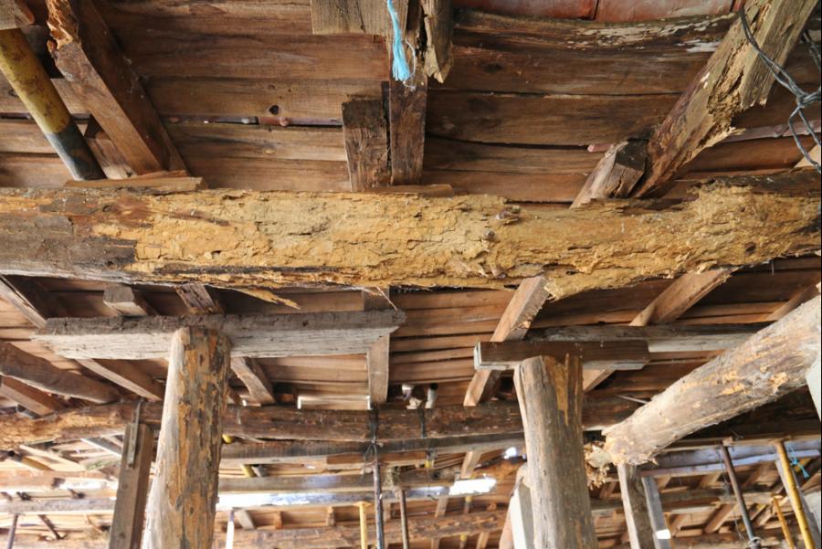 Dry Rot Treatment